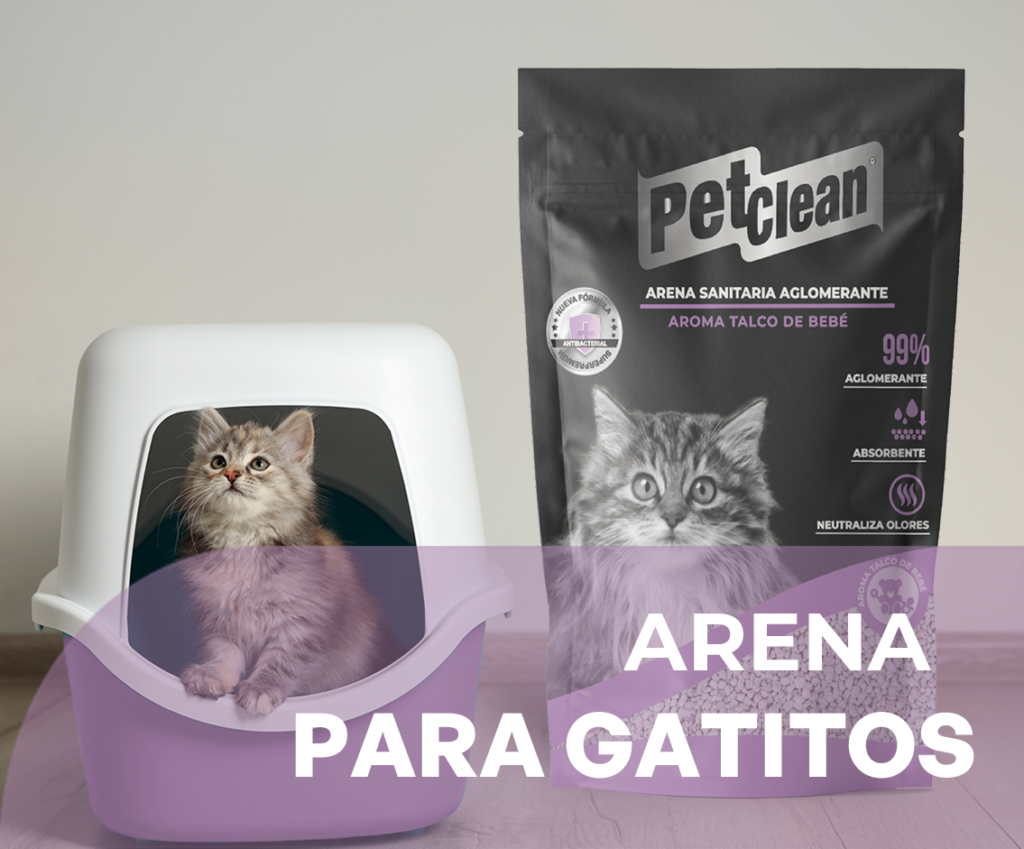arena para gatitos